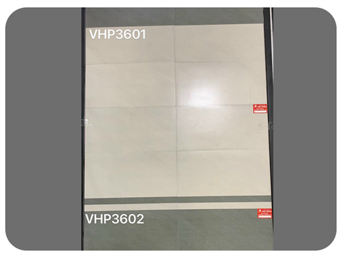 Gạch ốp Viglacera mã VHP3601-3602